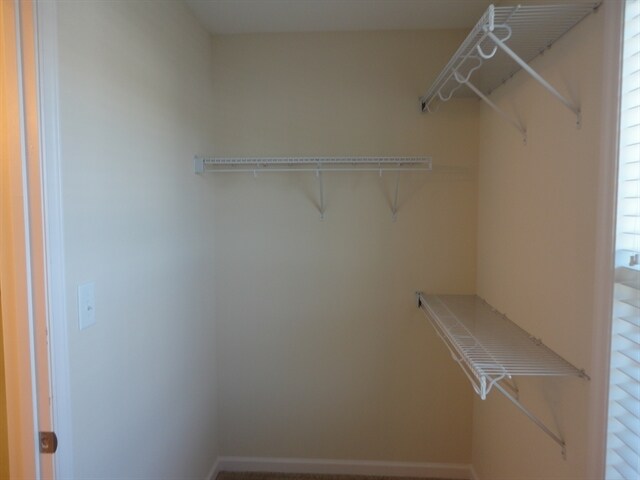 Foto del edificio - 2825 Tulip Poplar Cir