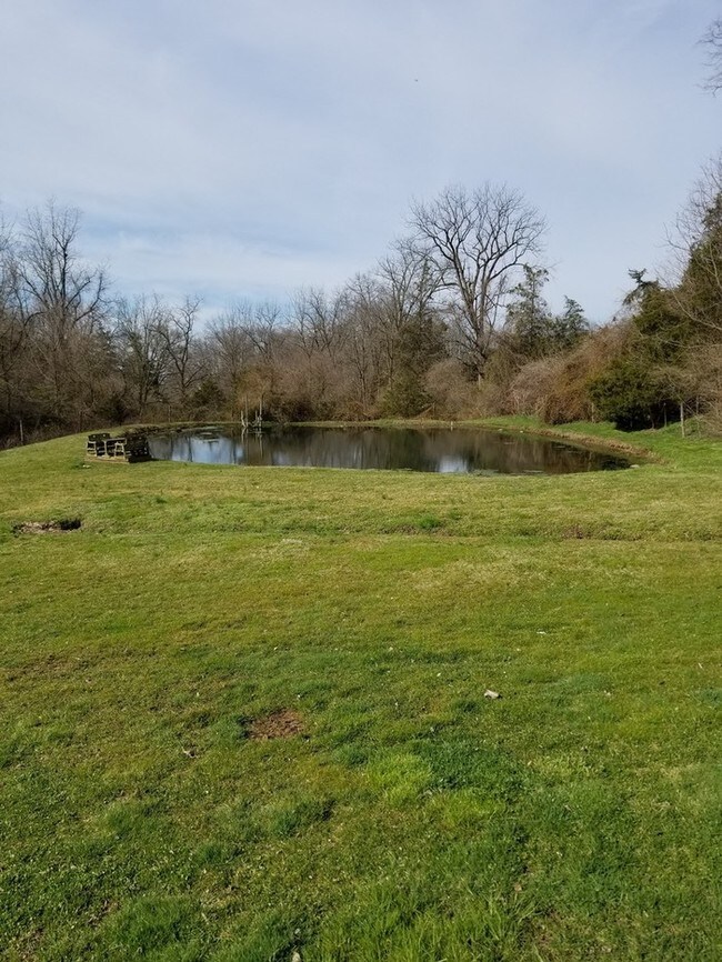 Building Photo - 1798 Spring Hollow Rd