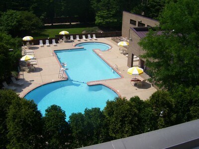 Pool - 803 N Howard St