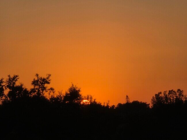 Vista del atardecer desde la sala de estar - 2901 26th St W