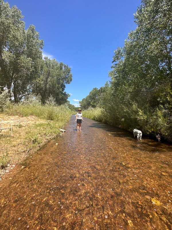 Foto del edificio - 28 NM-503