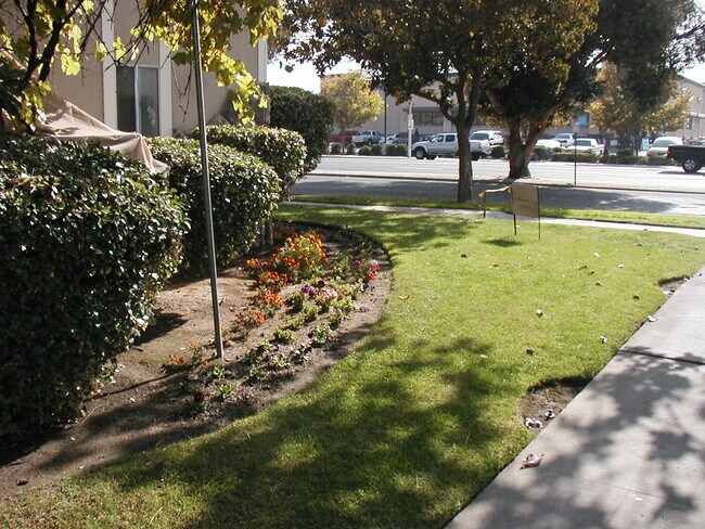 THE AMBERADA APTS. AT NE CORNER FIRST/ASHLAN - 4220 N First St