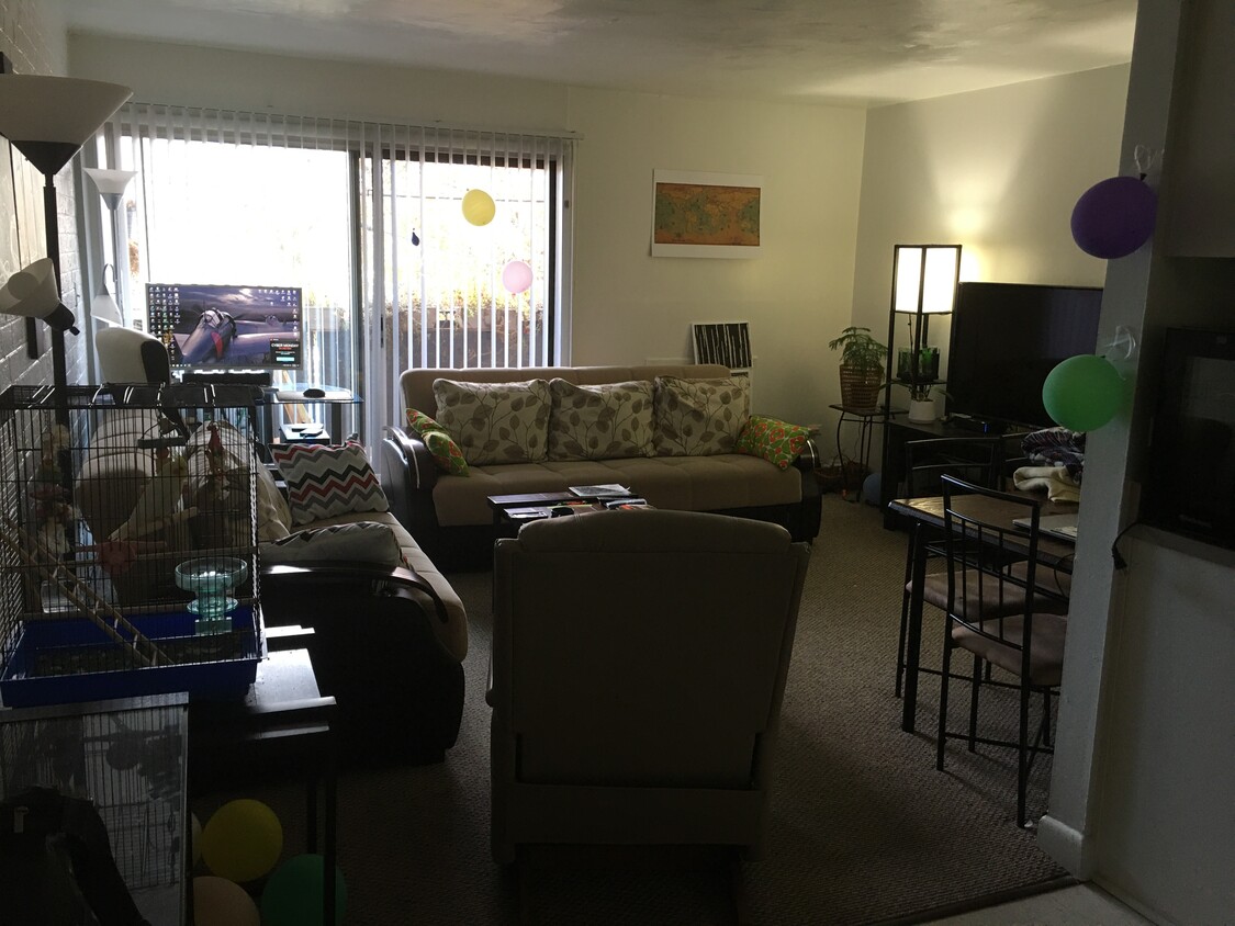 Living room - 1500 Grady Ave