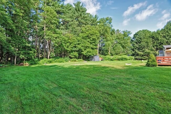 Backyard - 150 Lothrop St