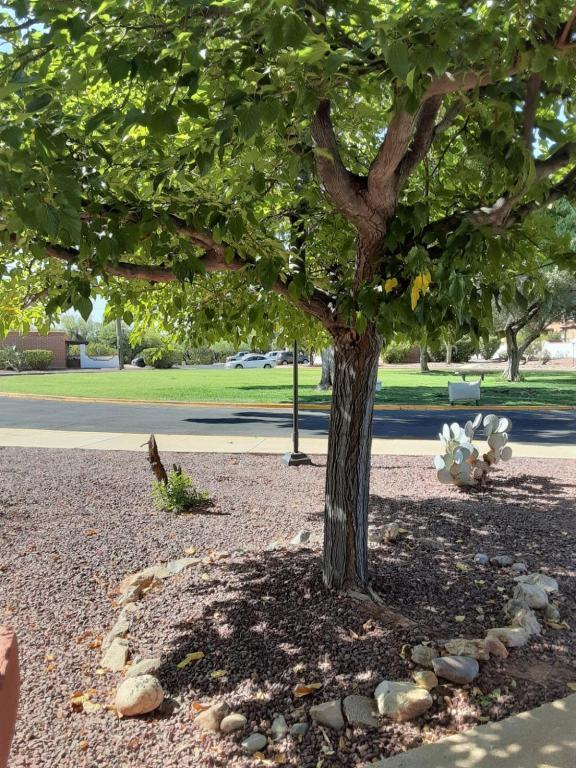 Foto del edificio - 467 S Paseo Madera D