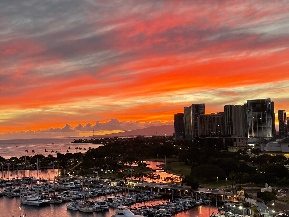 Primary Photo - 1676 Ala Moana Blvd