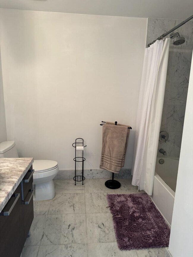 244 Biscayne Blvd Unit 3807, Miami, FL 33132 Condo for Rent in Miami