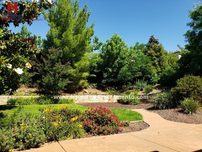Building Photo - 1242 Villagio Dr