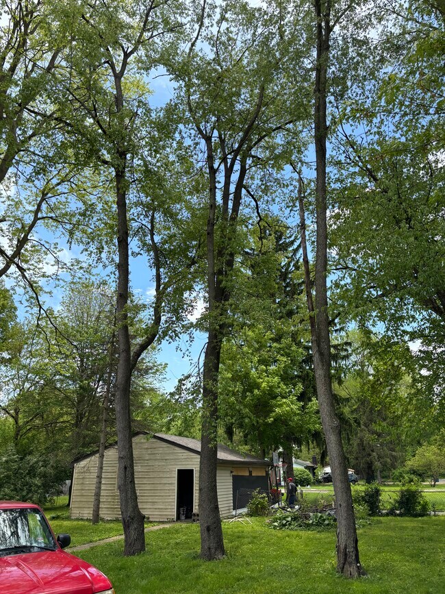 Foto del edificio - 5145 Patterson St