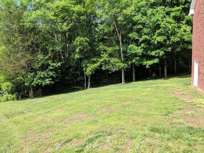 Building Photo - King of The Hill – Your Next Home Awaits i...