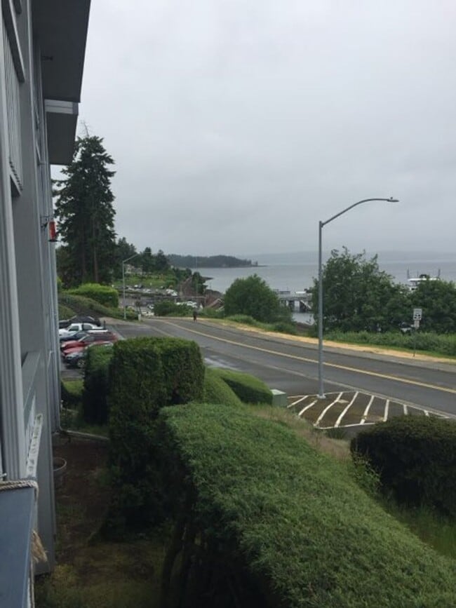 Building Photo - Steilacoom 1 bedroom with a view of  the