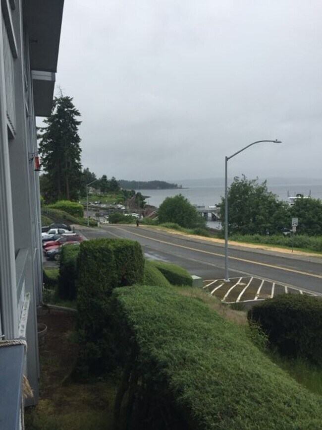 Foto del edificio - Steilacoom 1 bedroom with a view of  the