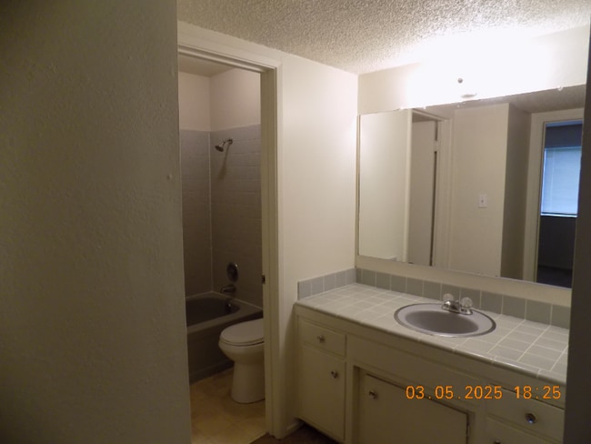 Building Photo - 786 Carro Dr