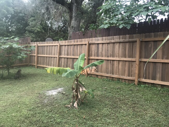 Fenced in Backyard - 510 Eaton St