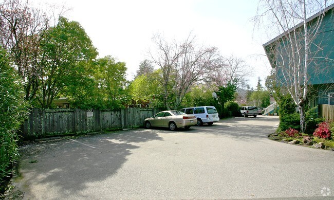 Foto del edificio - 229-247 McAllister Ave