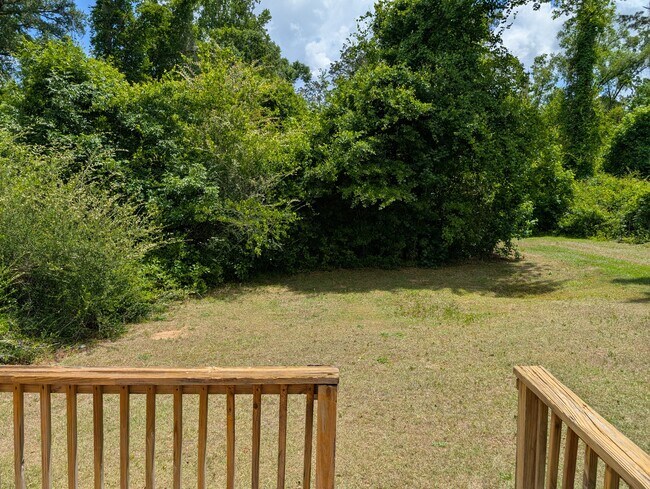 Patio trasero - 2423 Chateau Ln