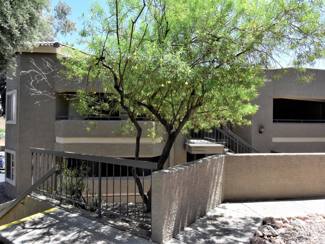 1720 E Thunderbird Rd Unit 1034, Phoenix, AZ 85022 Apartment for Rent