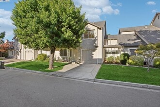 Building Photo - 2039 Alexander Ct
