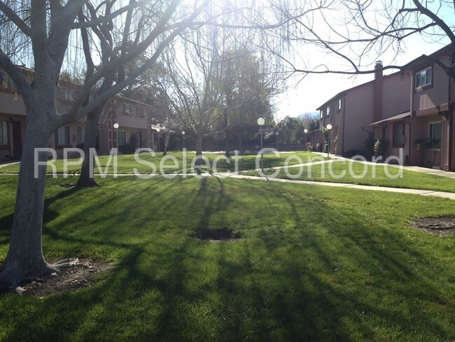 Building Photo - 3812 Willow Pass Rd