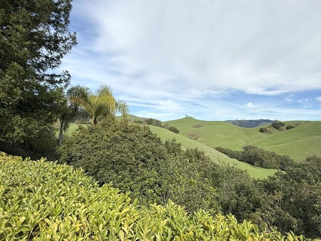 Foto del edificio - Beautiful custom one story estate located on one of the most desirable streets in Blackhawk Count...