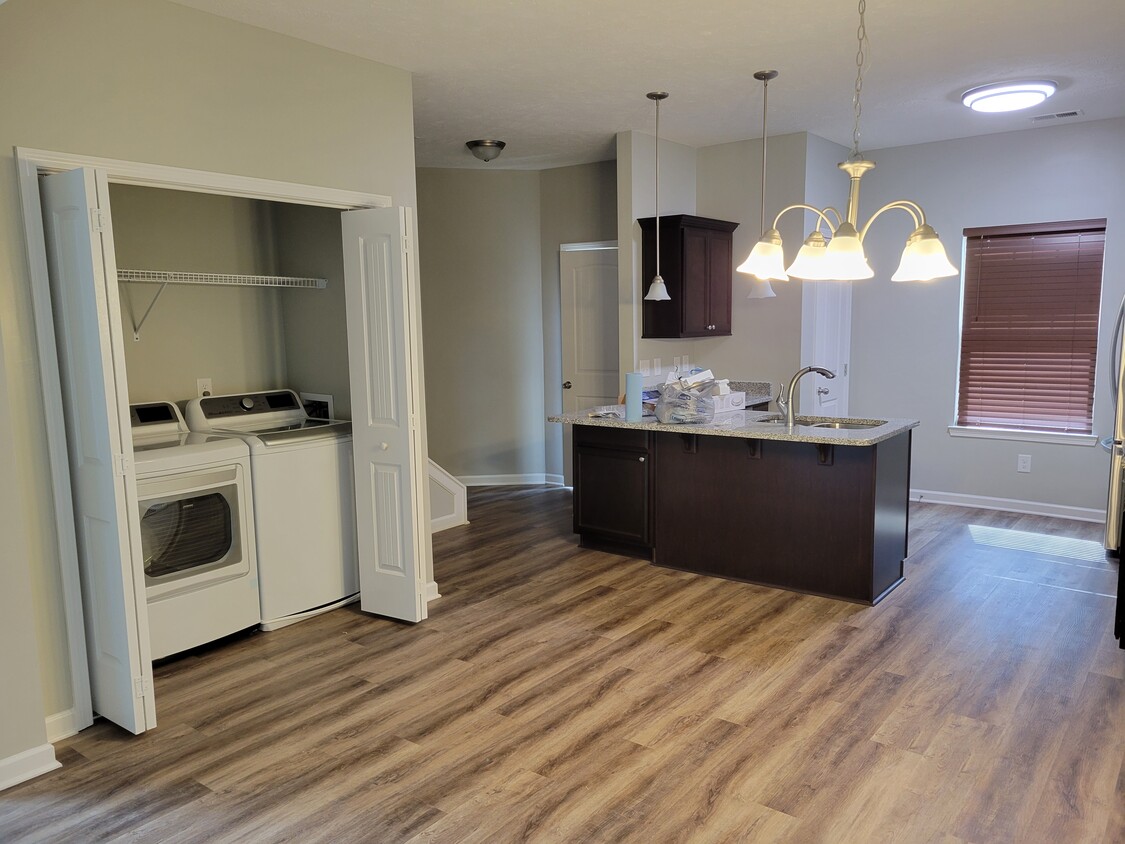 Kitchen/Laundry Closet - 208 Ramsden Ave