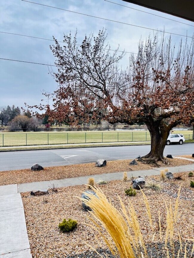 Building Photo - Adorable 1 Bed/1 Bath with River views!