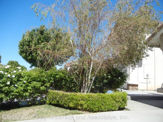 Building Photo - 4149 Portola Dr