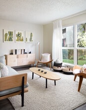 Building Photo - Ava Apartment Homes