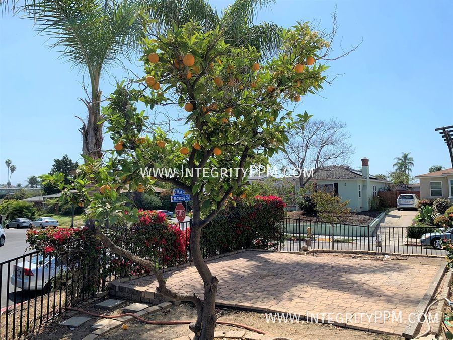 Talmadge Beautifully Updated Home 2 Bedr... House for Rent in San