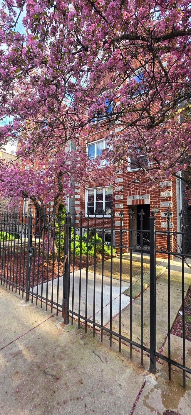 Photo - 1443 W Walton St Apartment
