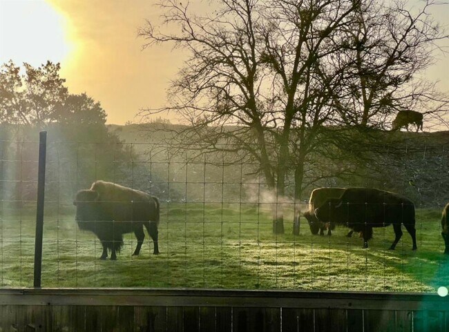 Foto del edificio - 11305 Sentinel Dr