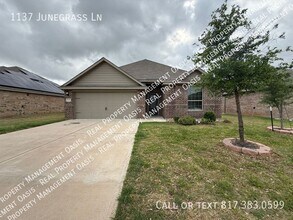 Building Photo - 1137 Junegrass Ln