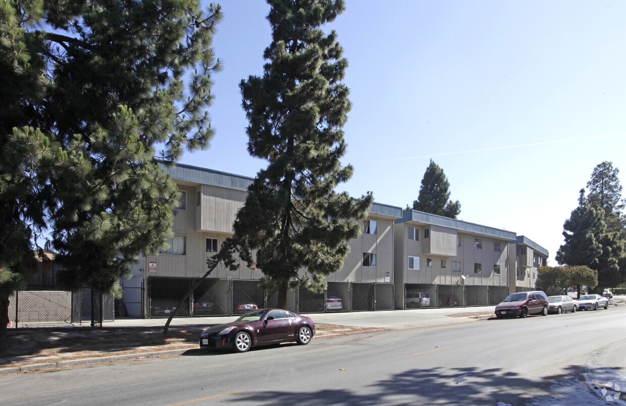 Building Photo - Terrace Plaza Apartments