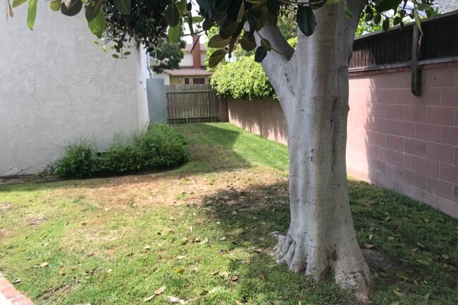 Patio lateral con césped - 4101 Carmen St