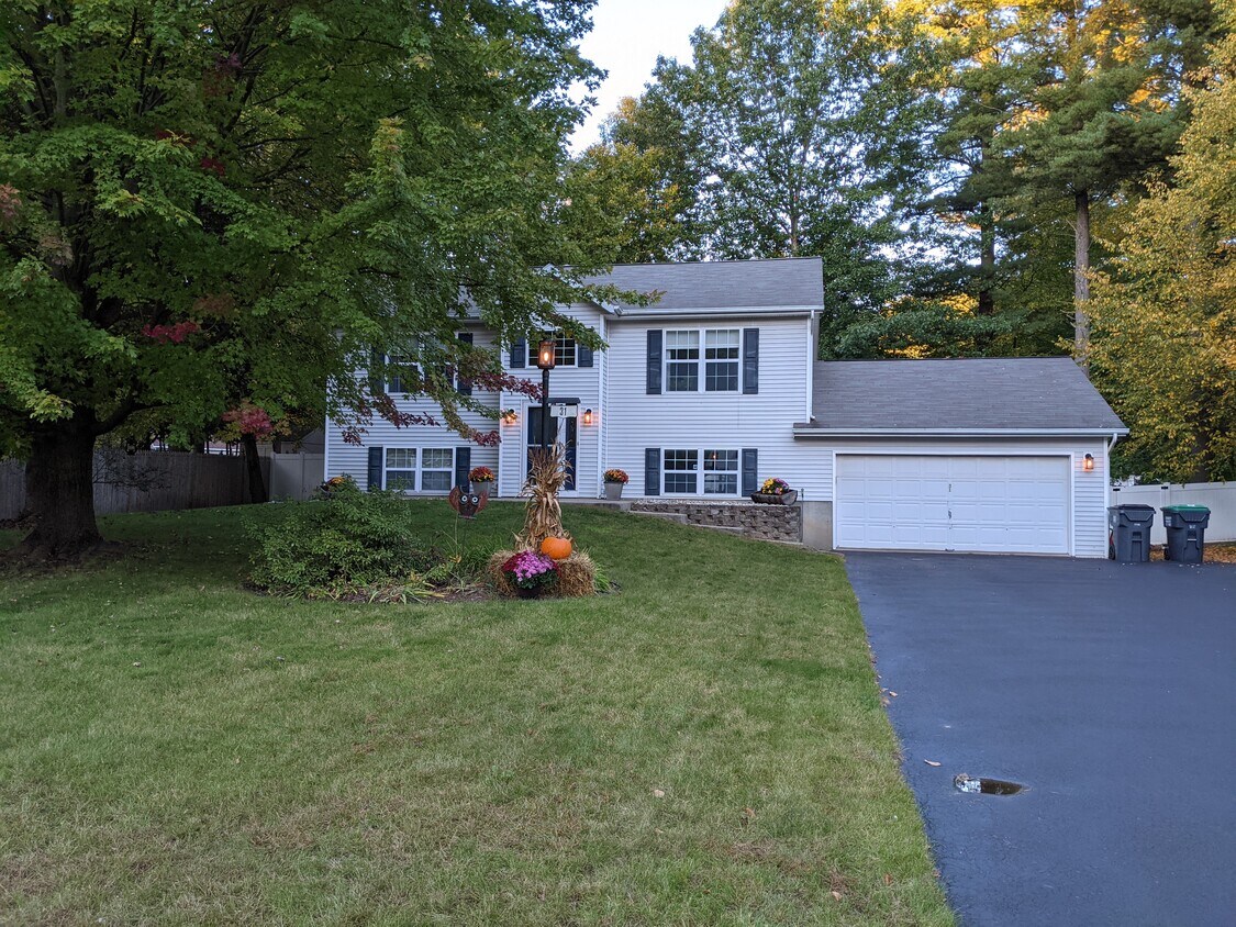Primary Photo - 31 Larkspur Dr