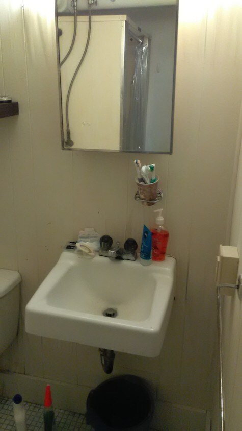 bathroom - 209 N Hyland Ave