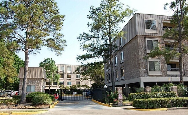 Building Photo - 2213 S Braeswood Blvd