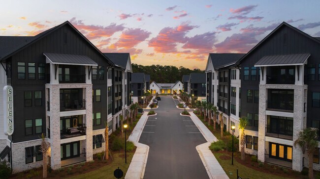 Selene en los apartamentos Sayebrook — foto comunitaria - Selene at Sayebrook