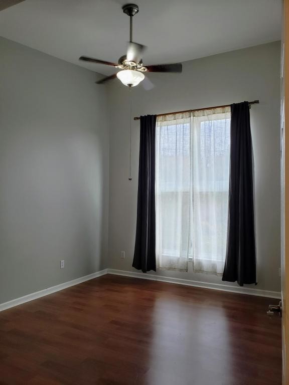 Foto del edificio - 125 Clingman Ave #302
