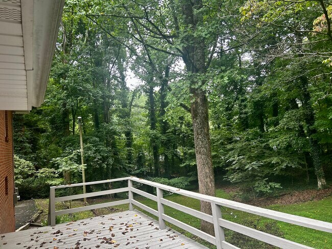 Foto del edificio - 1131 Cypress Cir