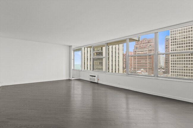 Foto del edificio - 1000 N Lake Shore Dr