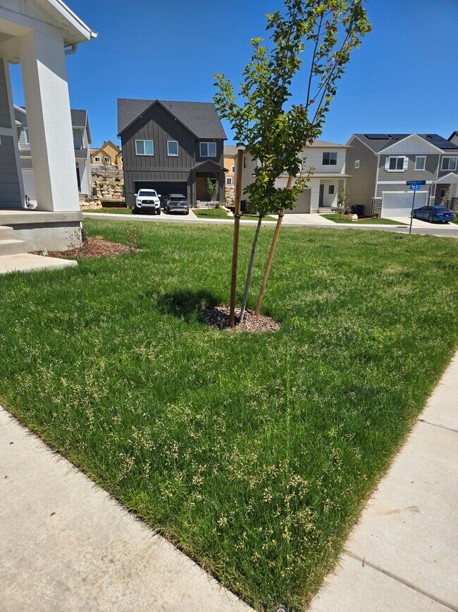 Foto del edificio - 1508 W Charmer Ln