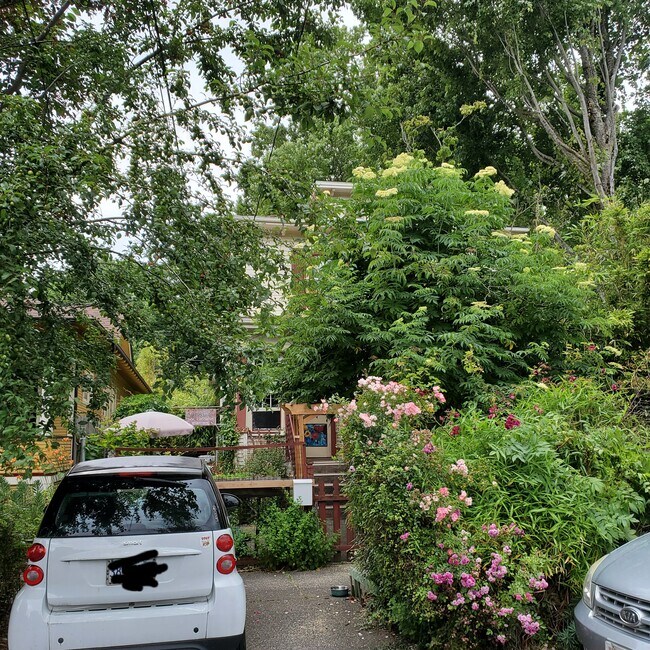 2024 has been a great year for Organic Gardening! plants! Its a No Pestiside property. - 3829 SE Washington St Apartments