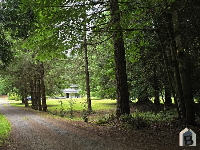 Hermosa entrada rodeada de árboles de hoja perenne maduros. - 20981 Port Gamble Rd NE