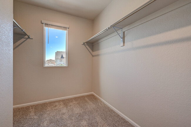 Primary walk-in closet - 6383 N Malaya St