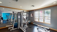 This fitness center is a thoughtfully designed workout facility contained on a single floor. The space features a bold color scheme, with vibrant blue accent walls contrasting against cool gray walls and warm wood trim that runs throughout, lending the room a polished and energetic atmosphere. Dark rubber flooring provides both durability and safety underfoot across the entire space.

The cardio area is well-appointed with multiple Spirit treadmills and an elliptical trainer, positioned near large windows fitted with horizontal blinds that allow natural light to fill the room. A wall-mounted flat-screen television faces the cardio equipment, enhancing the workout experience. A bold blue accent wall energizes this section of the space.

The strength training area is equally impressive, anchored by a Hoist multi-station cable machine that supports a wide range of resistance exercises. A full rack of dumbbells lines one mirrored wall, with large mirrors extending across multiple walls to visually expand the space and assist with form. A stability ball and weight bench add further versatility.

Near the entrance, a water dispenser and hand sanitizer station are conveniently placed for user comfort. Recessed ceiling lighting ensures the entire space is well-lit, and posted signage keeps users informed of guidelines and workout resources. The layout encourages efficient movement between stations, making this a comprehensive and user-friendly fitness facility.