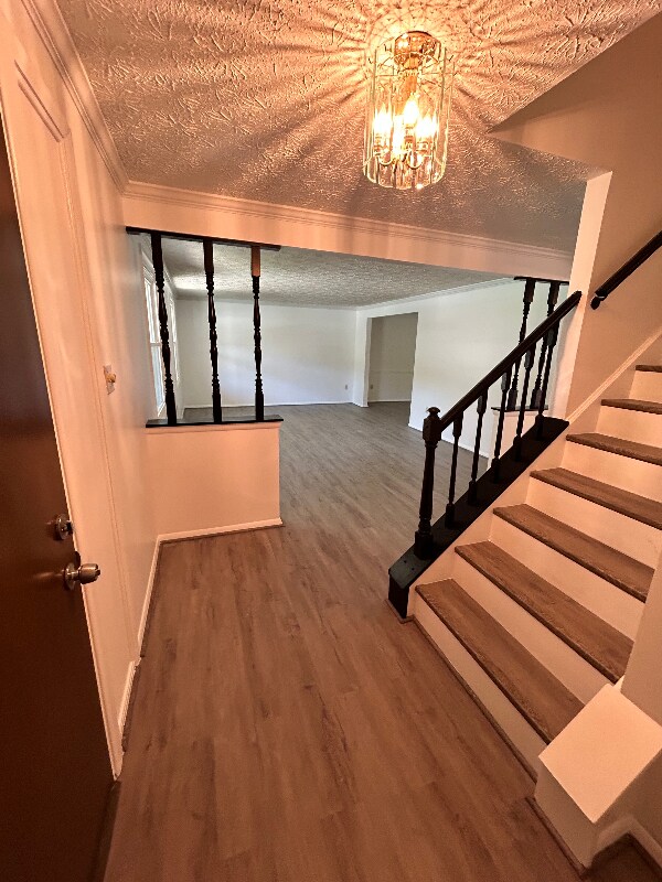 Foto del edificio - 1200 Cabinwood Pl