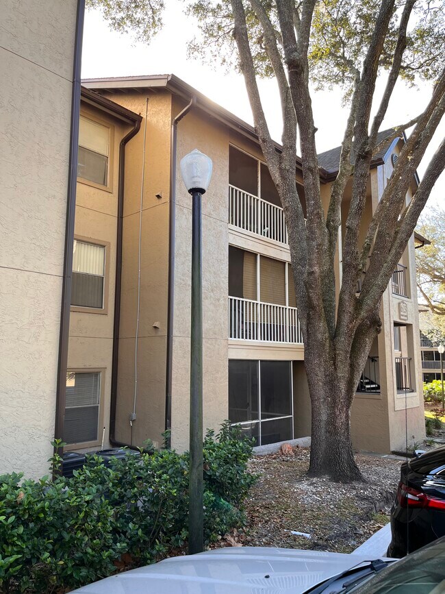 Foto del edificio - 623 Dory Ln