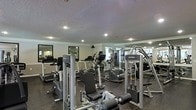 This fitness center is thoughtfully designed to accommodate a full range of workout needs within a single-level layout. The space is outfitted with a comprehensive selection of exercise equipment, including elliptical machines, stair climbers, treadmills, and multi-station strength-training units from recognized brands such as Life Fitness. The dark, durable flooring provides a practical and resilient surface suited for high-traffic use. Recessed lighting is evenly distributed across the textured ceiling, ensuring the area is well-lit throughout. Large mirrors line the walls, serving both a functional purpose for monitoring form and visually expanding the room. The neutral-toned walls contribute to a clean, focused atmosphere. The equipment is arranged to allow reasonable circulation between stations, supporting simultaneous use by multiple individuals. Overall, the space presents a functional and well-maintained environment suitable for a variety of fitness routines, from cardiovascular training to resistance and strength work.
