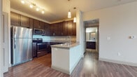 This single-floor unit offers a thoughtfully designed open-concept layout that seamlessly connects the living and kitchen areas. The kitchen is a standout feature, showcasing rich dark-stained cabinetry extending to the ceiling for ample storage, granite countertops, a full suite of stainless steel appliances, and a peninsula island with an undermount sink — ideal for both meal preparation and casual dining. Pendant lighting and a track light fixture add a warm, layered ambiance to the space. Wood-style flooring runs throughout the main living and kitchen areas, contributing to a cohesive, contemporary aesthetic.

The living area is generously proportioned, featuring a ceiling fan, large windows fitted with blinds that invite natural light, and access to an exterior door. The bedroom continues the natural light theme with a bright window, a ceiling fan, and plush wall-to-wall carpeting for added comfort. The bathroom is well-equipped with dark cabinetry, granite countertop vanity, a soaking tub with tile surround, wood-style flooring, and convenient closet access nearby. Overall, the unit presents a clean, modern character with consistent finishes throughout.